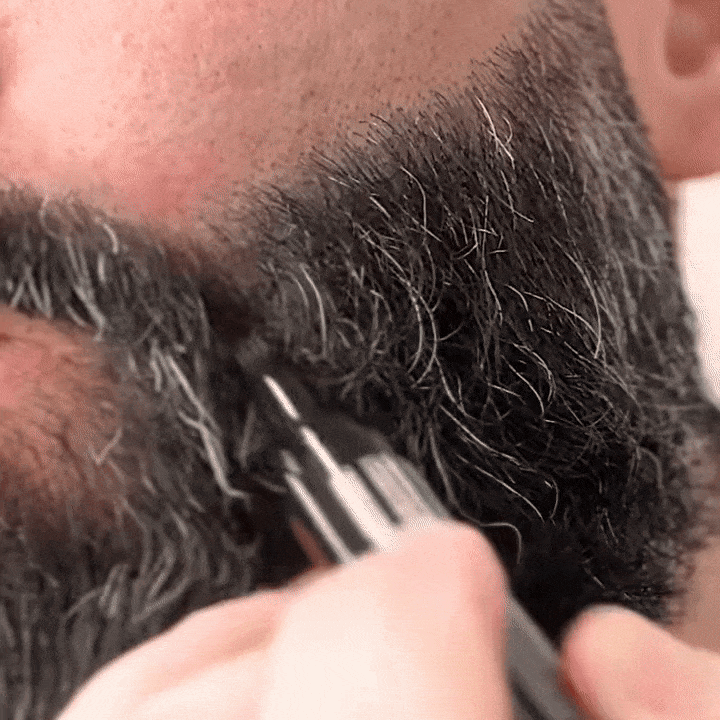 Creion pentru Barbă